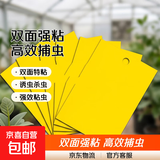 黄板双面粘虫板诱虫纸贴黄色飞虫小黑飞诱沾果蝇捕器粘板针蜂大棚 黄色【双面超强粘性】 20*25（40片）