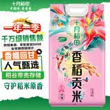 十月稻田 十月稻田 当季新米 香稻贡米 东北大米 5kg（香米 粳米十斤）