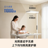 西屋（Westinghouse）AI大路灯护眼灯全光谱落地灯阅读台WWD120-ultra