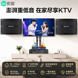 索爱（soaiy）家庭影院客厅电视KTV音响家用商用会议门店设备卡拉ok唱歌全套专业功放话筒音箱组合