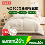 京东京造100%新疆棉花被子四季通用春秋被芯 冬厚被1.5x2m