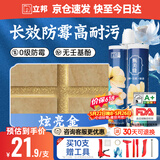 立邦美缝剂甄美缝十大品牌地砖瓷砖耐水防霉勾缝填缝美缝胶 炫亮金