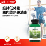 斯旺森（SWANSON）刺蒺藜500mg*90粒 提升精力增肌提升运动耐力抗疲劳提升精子活力