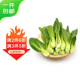 京鲜生上海青 新鲜小油菜 净重650g 简装 新鲜蔬菜源头直发