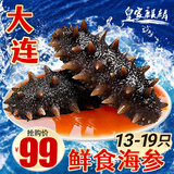 皇家麒麟 即食海参 即食大连刺参单个装辽刺参海参干货水产礼盒净含量500g 7A鲜食海参 13-19只/斤-性价比之王 一斤【尝鲜装】