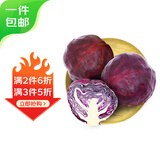 京鲜生新鲜紫甘蓝 净重650g 简装 新鲜蔬菜源头直发