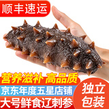 往牧大连鲜食海参 辽刺参 鲜食海参 冷冻生鲜 节假日送礼 【大连鲜食辽参500g】13-16只