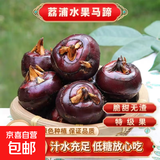 广西荔浦新鲜马蹄水果荸荠红薯即食早餐生鲜超市直播间京东包邮 新鲜水果马蹄5斤 含箱
