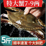 梭子蟹鲜活特大野生舟山大螃蟹海鲜新鲜冷冻海蟹水产飞蟹白蟹顺丰 7-9两/只【净重5斤舟山直发 顺丰到家】