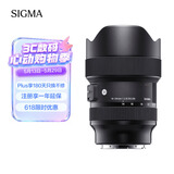 适马（SIGMA）Art 14-24mm F2.8 DG DN 全画幅无反 超广角变焦镜头 风光摄影（L卡口）