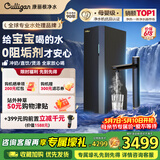 康丽根 Culligan 小黑龙净水器 家用厨下式净热一体机 直饮纯水机 RO反渗透饮水净饮机T2800 小黑龙即热净水器