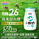 来思尔（LESSON）云南来思尔小酸奶180g*12瓶装风味酸奶轻食瓶营养品早餐酸奶年货 青柠海盐味小酸奶180g*12瓶