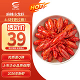 GUO LIAN国联 麻辣小龙虾750g 2026年新虾 4-6钱 净虾400g  聚餐宵夜
