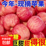 正宗山东红富士苹果冰糖心新鲜当季水果孕妇丑苹果香脆爽酸甜 带箱9-10斤净重8斤【80-95mm】 不能保证所有苹果都有冰糖心呦