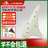 天鹅（SWAN）T02A陶笛12孔AC中音C调树脂塑料儿童初学入门教学乐器学校专用白
