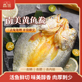 鱻谣黄鱼鲞2.5斤/3条（400-450g/条） 三去黄花鱼大黄鱼源头直发