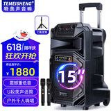 特美声（TEMEISHENG）12英寸广场舞音响户外舞台大功率移动便携式拉杆音箱无线蓝牙大音量K歌扩音配双话筒SL12-31 15寸标配+2支无线话筒+礼包+支架