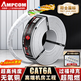 安普康（AMPCOM）超六类网线 CAT6A非屏蔽100米 万兆8芯纯铜0.58mm双绞线 机房家装工程LSZH阻燃网络线缆AM178644