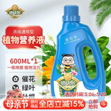 德沃多 植物营养液通用600ml水培绿植花卉盆栽花肥料发财树绿萝液体肥