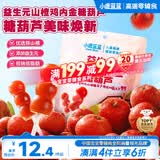 小鹿蓝蓝 益生元山楂棒棒糖鸡内金糖葫芦 儿童宝宝零食葫芦山楂棒棒 95g
