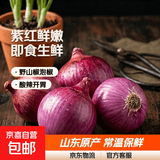 【小洋葱】山东新鲜紫红皮小洋葱即食超市生鲜小葱头蔬菜生鲜 5斤精品小洋葱净重4.5斤