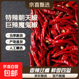 【东东买菜】特辣朝天椒小米辣小米椒巨辣魔鬼椒干辣椒特香辣椒 1000g【2斤】