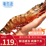 粤海湾南海巨型黑虎虾超大特大号 老虎虾大虾生鲜海鲜礼盒年货送礼虾类 超大15头 700g(净重)  长16-18cm 顺丰/深圳|北京|武汉发货