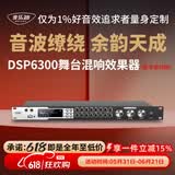 麦乐迪DSP6300卡拉ok混响器 数字音频前级效果器 家庭影院防啸叫调音台处理器含话筒 调音台均衡器 DSP6300豪华升级版(含线) 标准版