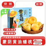 京觅山东蒙阴黄金油蟠桃 净重4.5斤甄选礼盒 单果150g+ 源头直发包邮