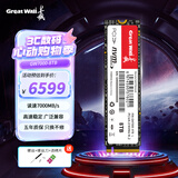 长城（Great Wall）8TB SSD固态硬盘 M.2接口(NVMe协议) PCIe4.0x4 读速7000MB/s 大容量存储
