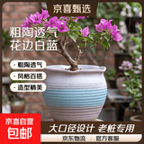 绿植花卉粗陶透气陶罐多肉植物老桩特价清仓大口径三角梅陶瓷花盆 花边白蓝