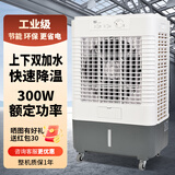雷豹（LEBON） 工业冷风机单冷空调扇制冷风机商用网吧餐厅厂房工厂冷风扇 EC4520【300W 50L水箱】商用款