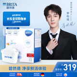 碧然德(BRITA)滤水壶滤芯 Maxtra+多效滤芯12只装 过滤器净水器 家用净水器滤芯 可滤水150L