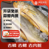 1号会员店（One's Member）【山姆同厂】冷冻宁德三去黄花鱼 大黄鱼700g/2条装 生鲜水产鱼类
