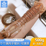 海速达源头直发全公特大皮皮虾400g(净重)  6-8只 富贵虾可清蒸