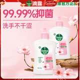 滴露（Dettol）洗手液滋润倍护250g*2