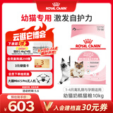 皇家幼猫奶糕 幼猫猫粮 BK34 通用粮 1-4月 10KG