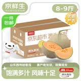 京鲜生山东西州蜜哈密瓜 净重8-9斤 2-3枚装 源头直发包邮