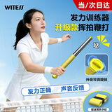 WITESS羽毛球训练器鞭打挥拍练习辅助纠正训练神器力度可调节款