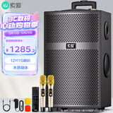 索爱（soaiy）X63 大功率15喇叭重低音广场舞音响移动户外蓝牙拉K歌拉杆音箱扩音器 双麦克风12英寸