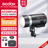 神牛（Godox）AD300Pro II外拍闪光灯TTL高速同步锂电池大功率户外人像婚礼口袋灯手持摄影灯 官方标配