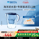 碧然德（BRITA）过滤净水器 家用滤水壶 净水壶 Marella 海洋系列+专家版滤芯12枚（含附件）
