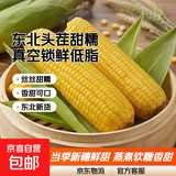 当季新货头茬东北黄甜糯玉米棒真空包装低脂黄糯大棒甜东北黏苞米 黄糯玉米12支净重2000g 130-180克/根