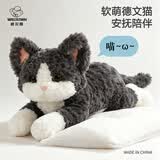 威尔通（WELTSTON）毛绒玩具玩偶布偶猫咪抱枕生日礼物女生布娃娃 德文猫公仔50cm灰