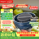 东菱（Donlim）转转果蔬清洗机食材净化机 洗菜机果蔬净化机 除菌去除农残 无线便携DL-1326静谧蓝