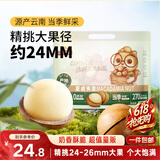 三只松鼠夏威夷果500g约24-26mm儿童每日坚果炒货休闲零食团购送礼
