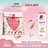 丹尼尔惠灵顿（DanielWellington）dw手镯女[520送女朋友礼物]闪耀星辰玫瑰金小号dw情侣手镯DW531