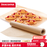 tescoma捷克 烘焙工具 DELICIA系列 进口烘焙纸 空气炸锅家用吸油纸