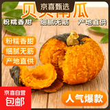 正宗贝贝南瓜板栗味宝宝辅食老南瓜新鲜蔬菜生鲜减肥减脂早餐轻食 品质中大果 500g ±50g