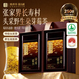 贡苑【头春头采芽】高端朵芽莓茶250g特级野生张家界藤茶叶礼盒送长辈